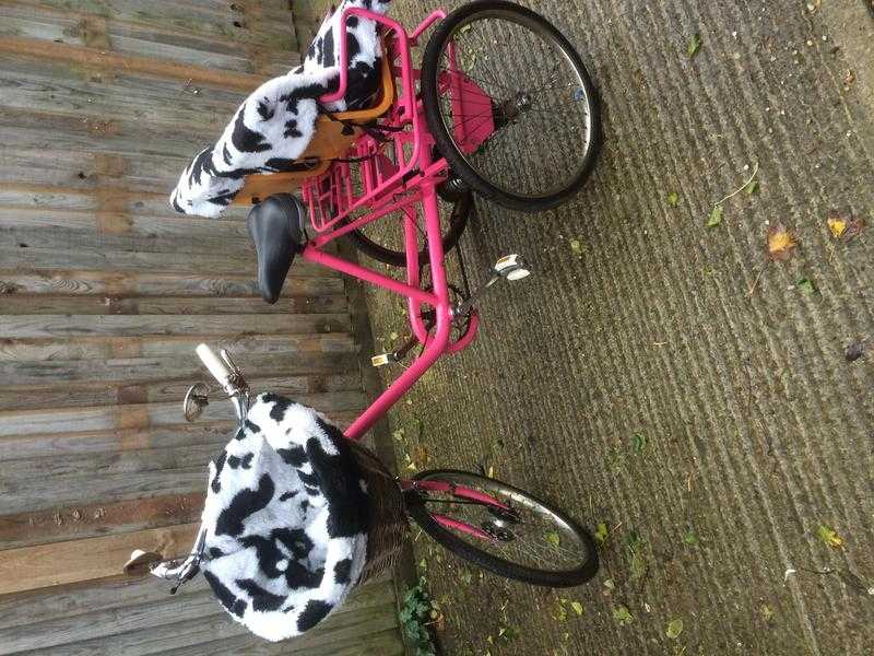 Adult tricycle with child seats