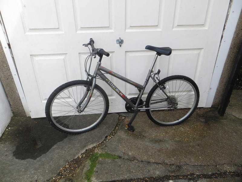 Adults Bicycle.