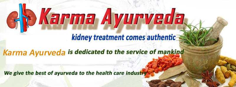 Affordable Ayurvedic Kidney failure treatment in Ayurveda