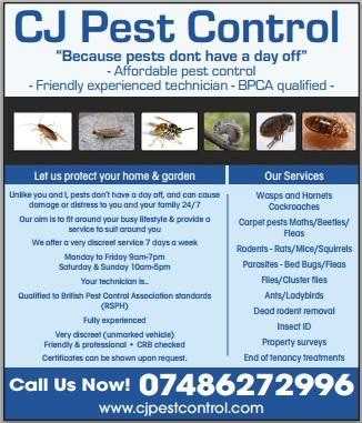 Affordable pest control in Oxford - Friendly experienced technician - BPCA qualified - Insured
