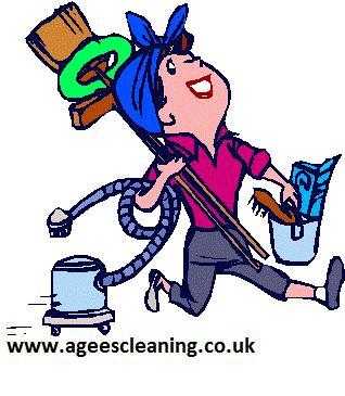 Agees  Cleaning Service