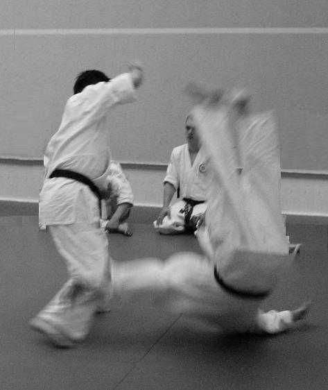 Aikido (Lewes, Brighton, Shoreham amp Worthing