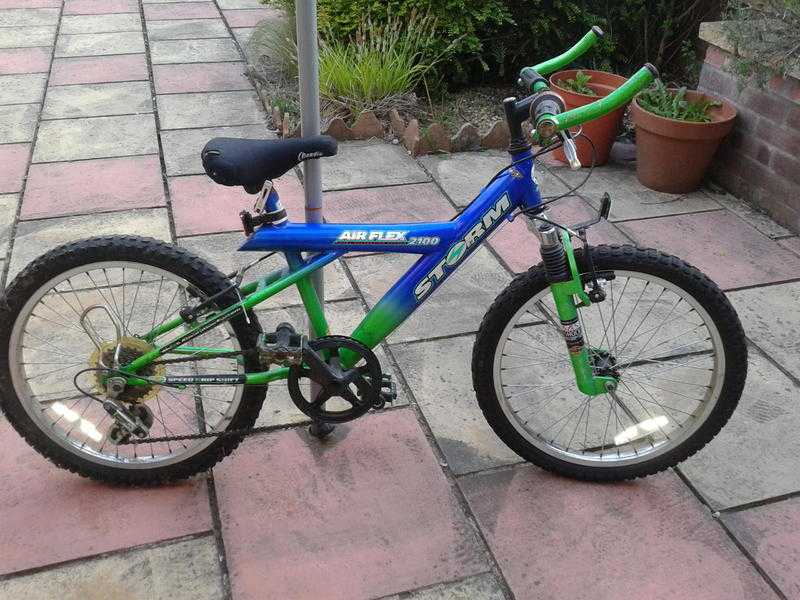 Air Flex 2100 Storm Childs 6 Speed Mountain Bike 16quot Rims