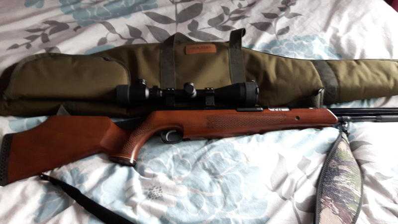 Air rifle