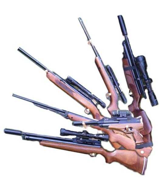 Airguns Wanted