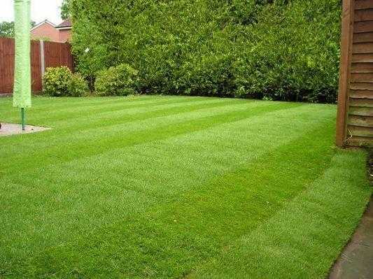 All landscaping services