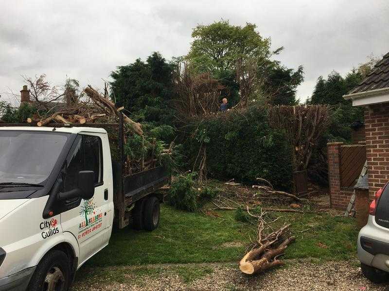 All seasons landscaping and tree work