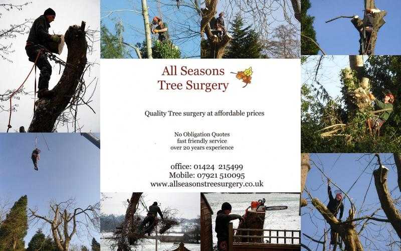 All Seasons Tree Surgery