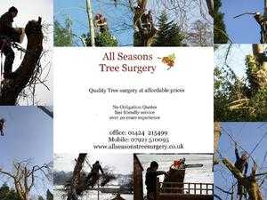 All Tree and Garden Work