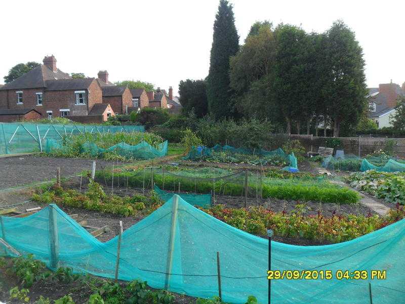 Allotments Available to Rent