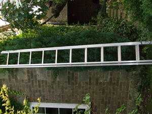 aluminium extension ladder