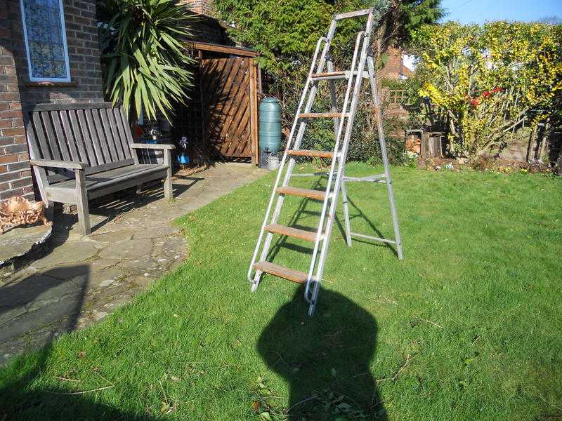 Aluminium Step Ladder