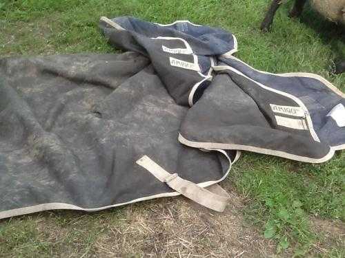 Amigo horse turnout rug