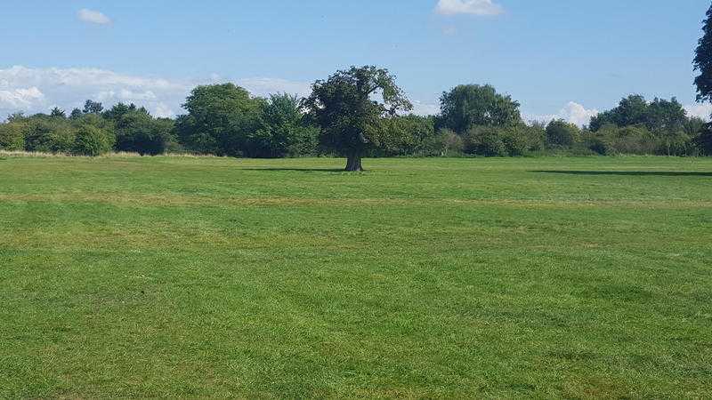 Ancient oak medieval fayre