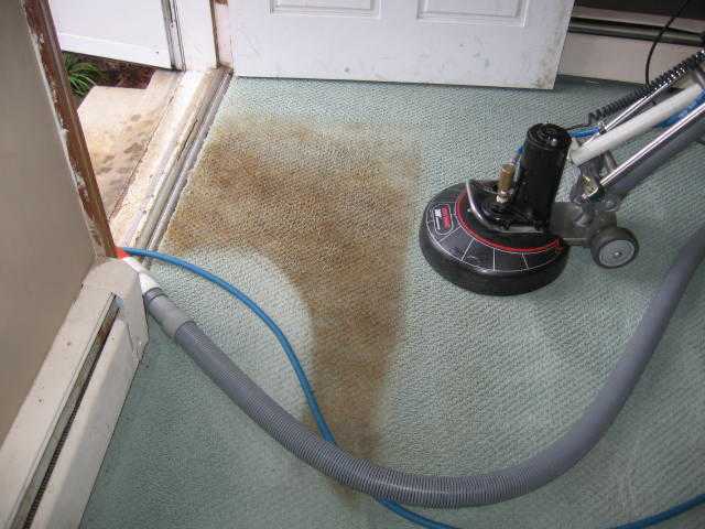 Andrews amp Sons Carpet Cleaning