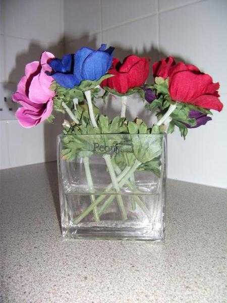Anemone Flowers in a Tank Vase