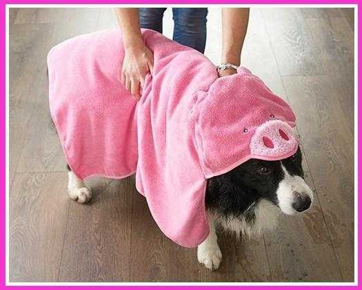Animal Head Pet Towel