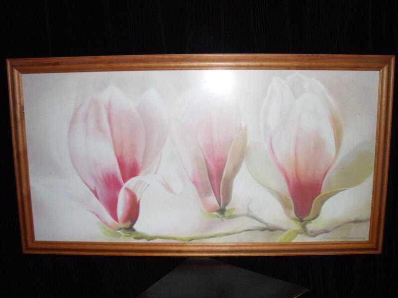 Annemarie-Peter -Jauman  Framed Print of Magnolia Soulangiana