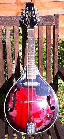 Antoria electro-acoustic mandolin