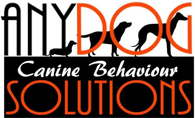 Any Dog Canine Solutions - Puppy Classes