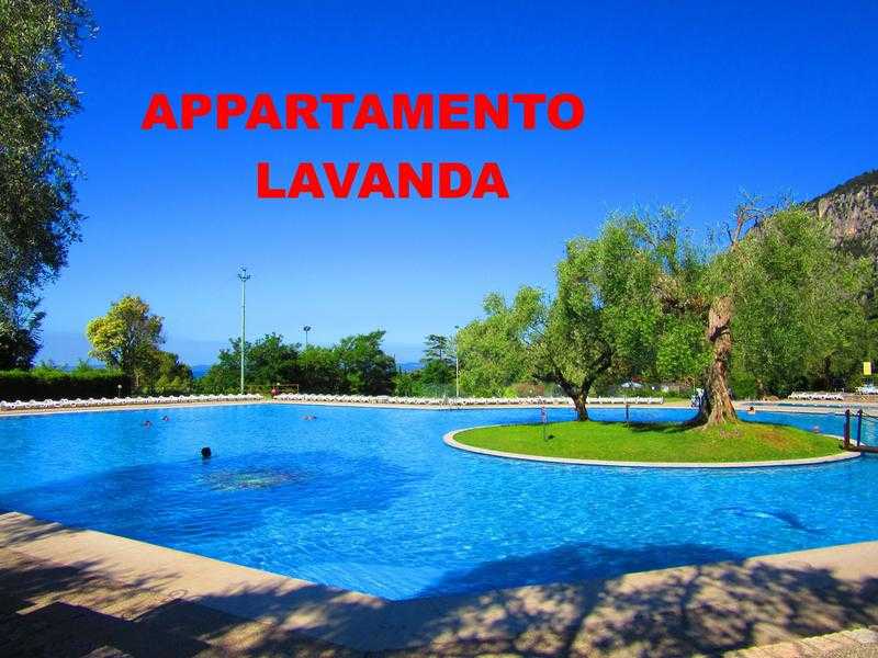 APARTMENT LAVENDER GARDA (italy) with pool