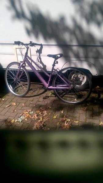 Apollo Girls Bike