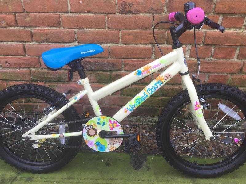 Apollo kids bike