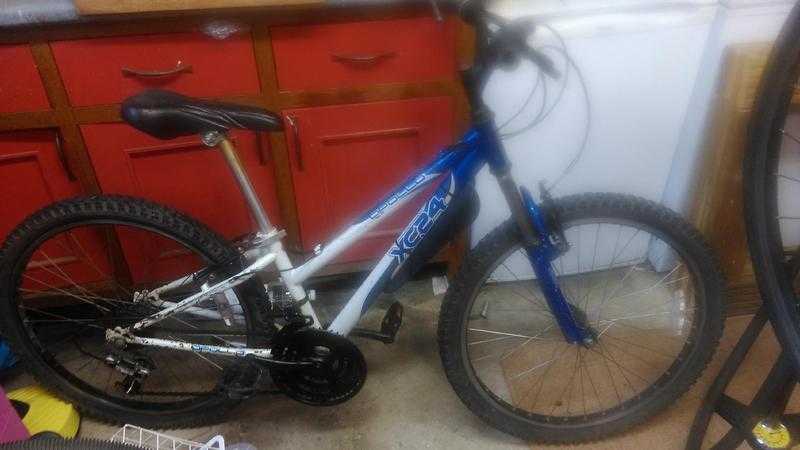 Apollo XC24 Mountain Bike