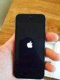 Apple iphone 5