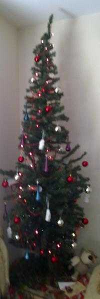 Approx 7 ft   tall slim    Xmas Tree.   Used Item - Undecorated and no lights