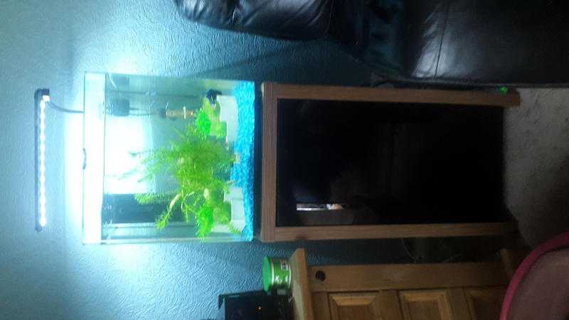 Aqua nano 55 litre tank and stand