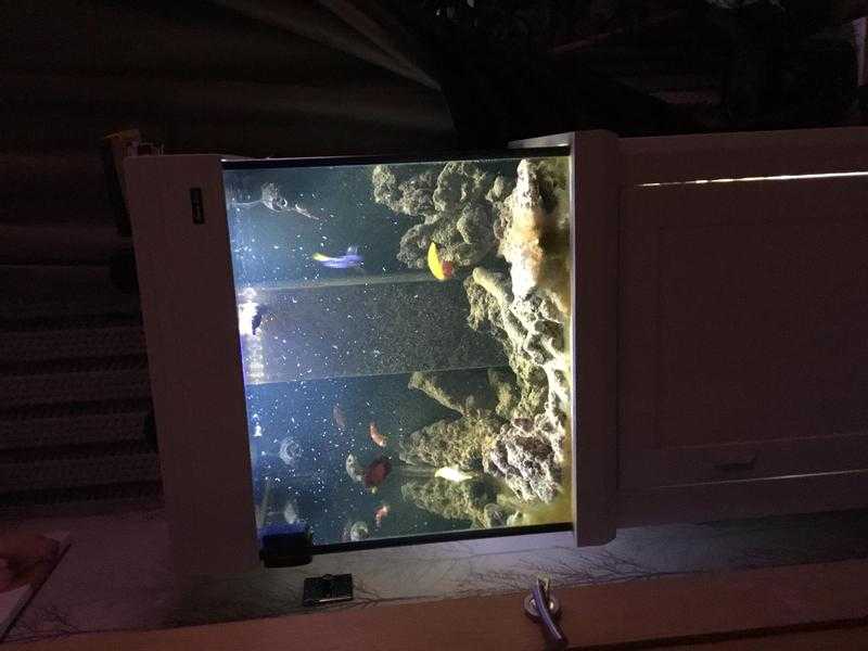 Aqua one marine fish and tank