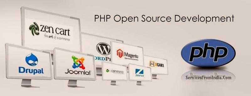 Are you looking for web development services