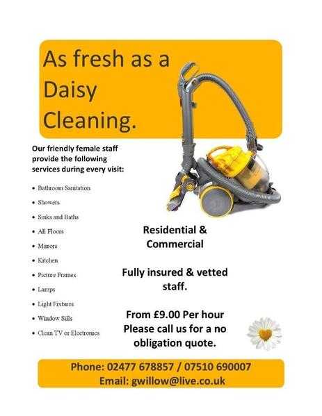 As Fresh as a Daisy Home amp Business Cleaning services