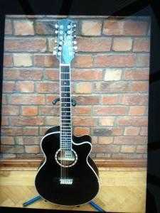 Ashton Premium Acoustics 12 String Electro Guitar
