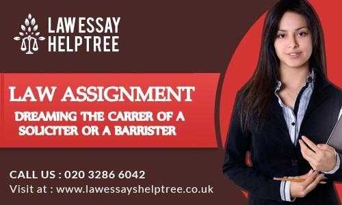 Assignment Help Service