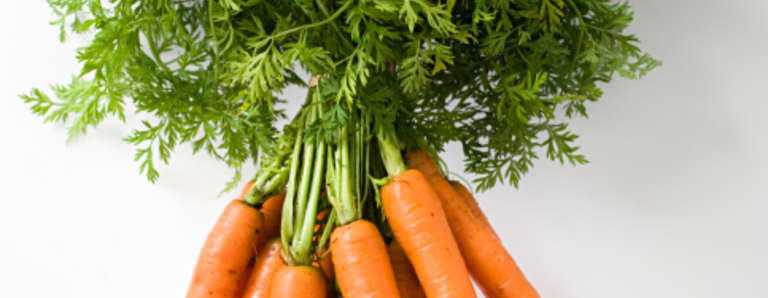 Assorted Vegetable Plants