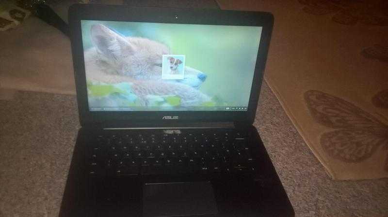 asus laptop