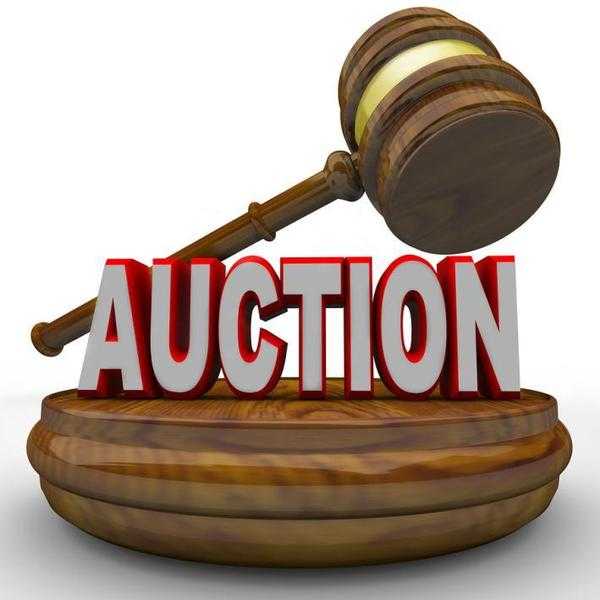 AUCTION  FINDON VILLAGE HALL 2ND JUINE    2016