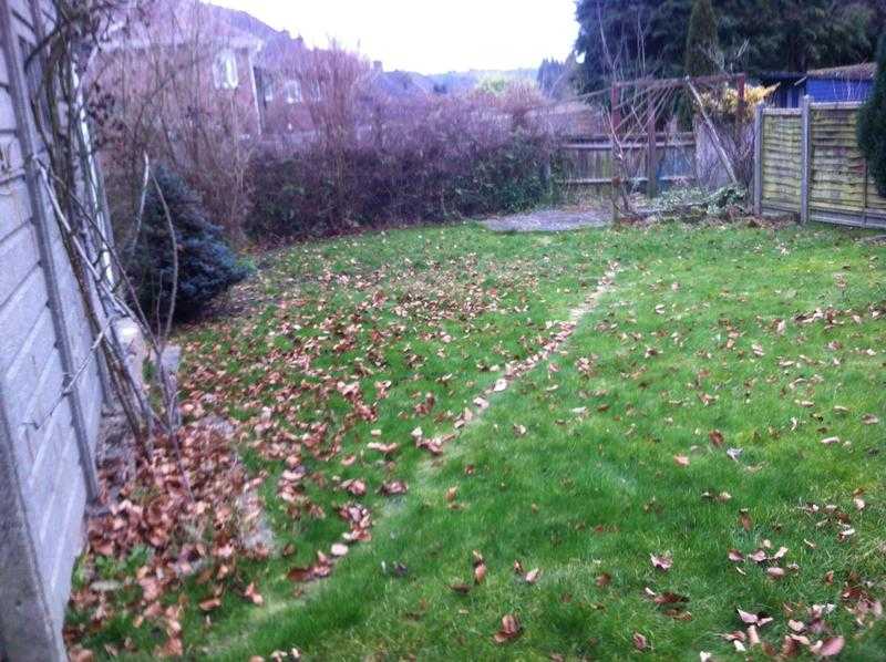 Autumn Garden Clearance Services