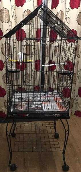 Baby Budgie and Big Spacious Cage