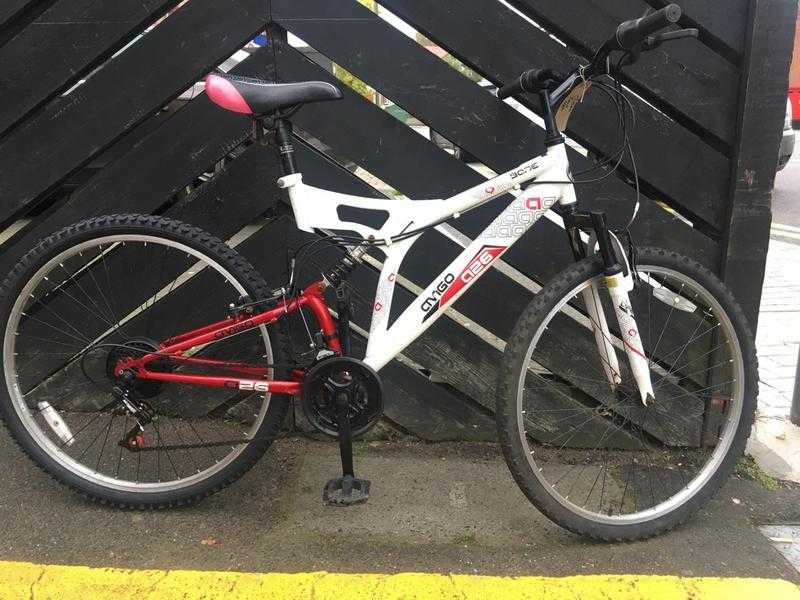 Bane A26 Mountain Bike