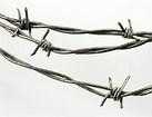 Barbed wire