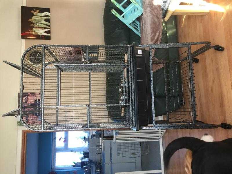 Bargain parrot cage