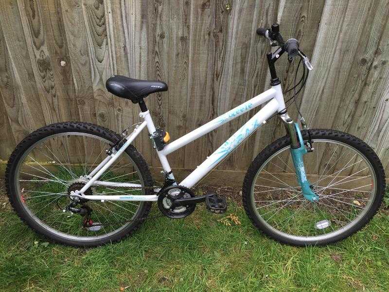 Bargain women039s mountain bike