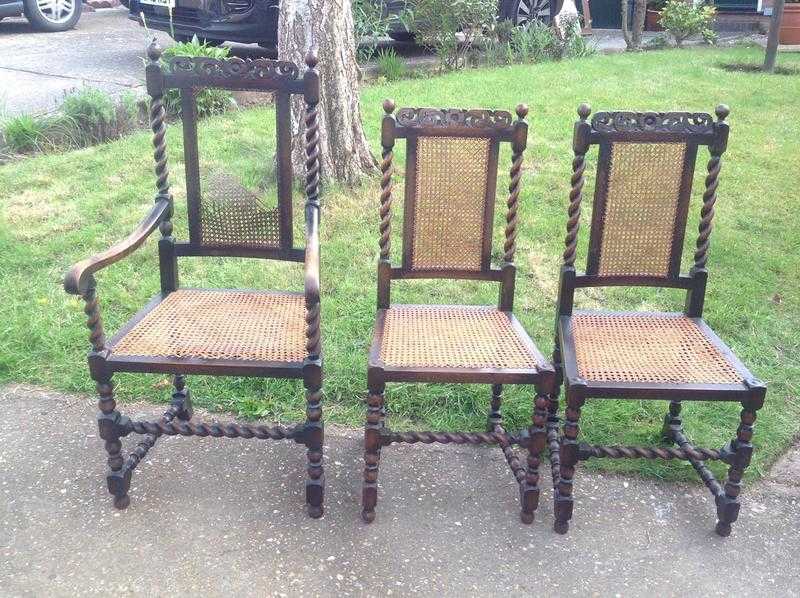 Barley twist dark oak and cane chairs. REDUCED One carver and 5 chairs.In need of some TLC.