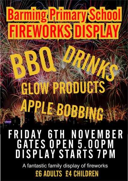 Barming Primary School FIREWORKS SPECTACULAR