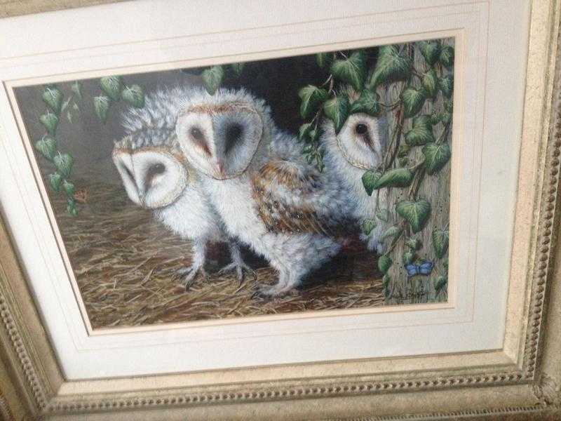 Barn Owlets original painting