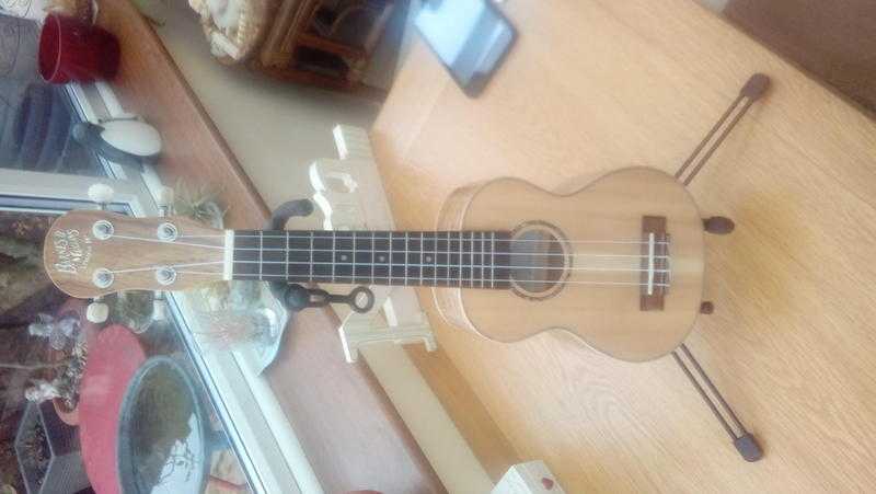 Barnes amp Mullins UBJ2 Banjo Ukulele