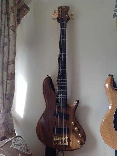 Bass Collection DB53E 5 string bass guitar